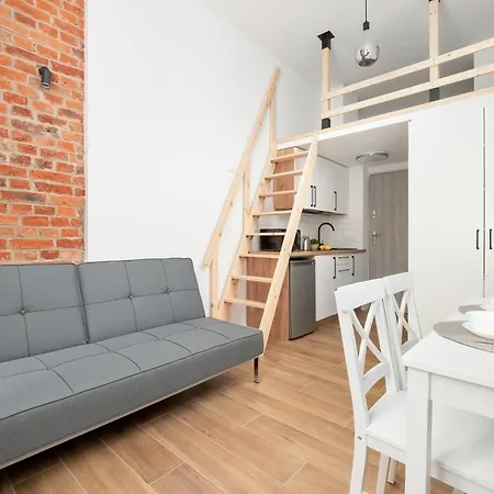 Modern In The Center Of By Renters Łódź