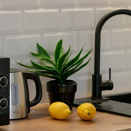 Modern In The Center Of By Renters Appartement